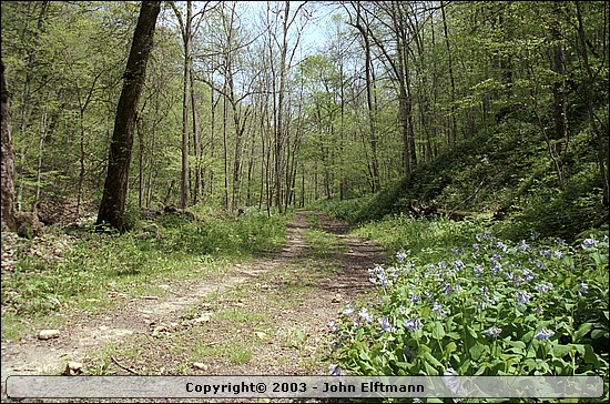Trail in the valley - 5/16/2003