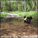 Creek crossing - 5/17/2003